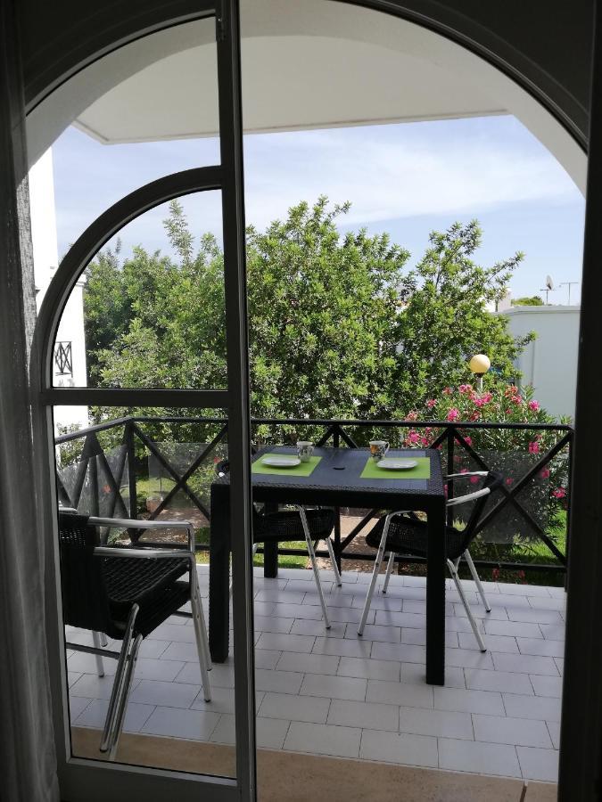 Garden 13 - In The Algarve *