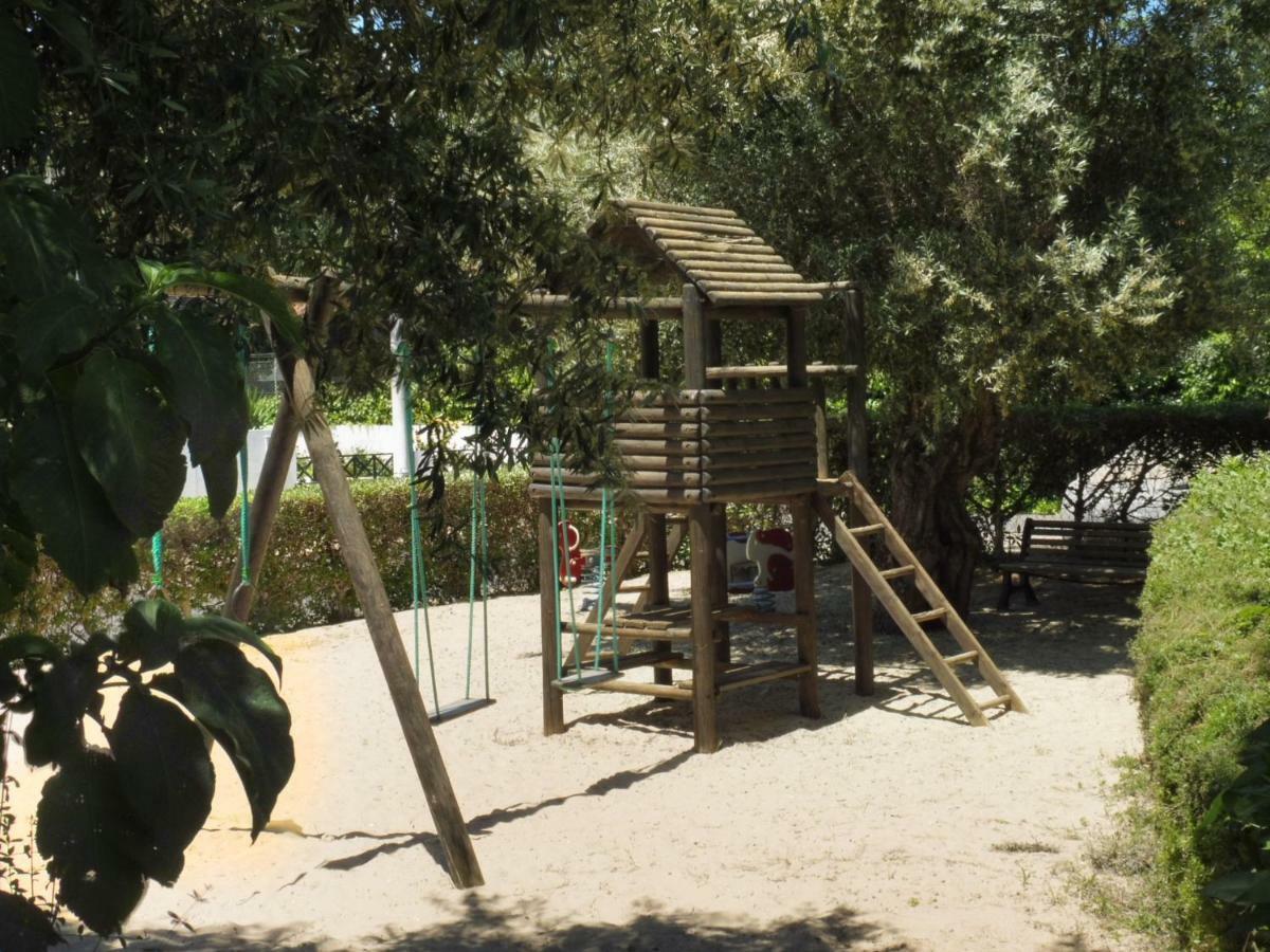 Garden 13 - In The Algarve Tavira